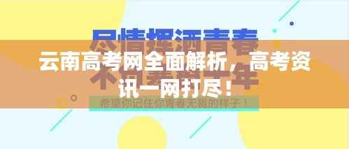 云南高考网全面解析,高考资讯一网打尽!