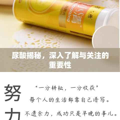 尿酸揭秘,深入了解与关注的重要性