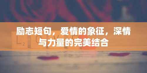 令行禁止 第3页
