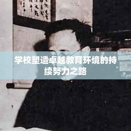 学校塑造卓越教育环境的持续努力之路