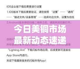 今日美铜市场最新动态速递