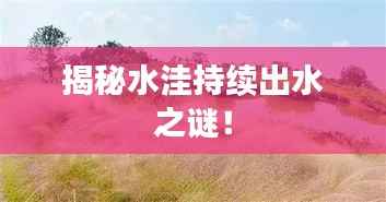 揭秘水洼持续出水之谜!