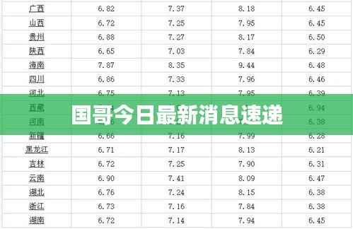 国哥今日最新消息速递