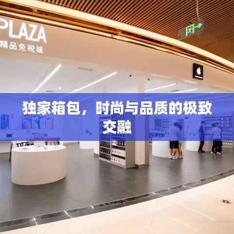 独家箱包,时尚与品质的极致交融