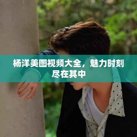 杨洋美图视频大全，魅力时刻尽在其中