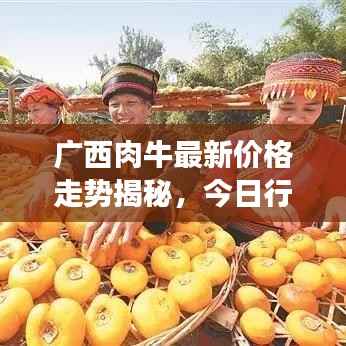 广西肉牛最新价格走势揭秘,今日行情分析与市场趋势