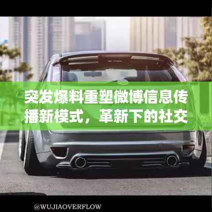 荣华富贵 第2页