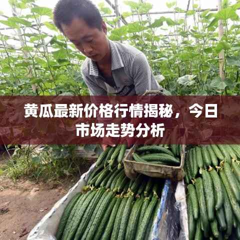 联系我们 第112页