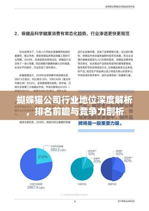 蝴蝶猫公司行业地位深度解析，排名前瞻与竞争力剖析