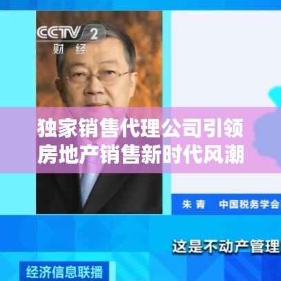 独家销售代理公司引领房地产销售新时代风潮！