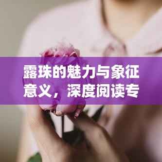 露珠的魅力与象征意义，深度阅读专题训练