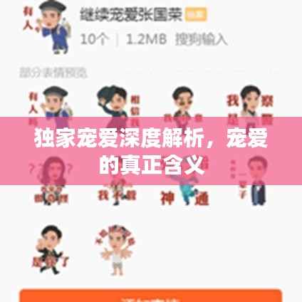 独家宠爱深度解析,宠爱的真正含义