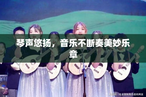 琴声悠扬，音乐不断奏美妙乐章