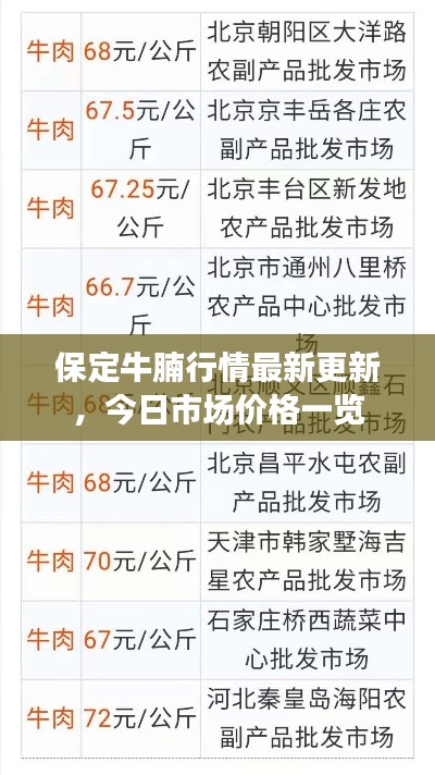 保定牛腩行情最新更新，今日市场价格一览
