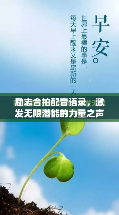 励志合拍配音语录，激发无限潜能的力量之声