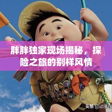 胖胖独家现场揭秘，探险之旅的别样风情