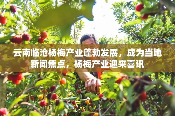 尊道贵德 第2页