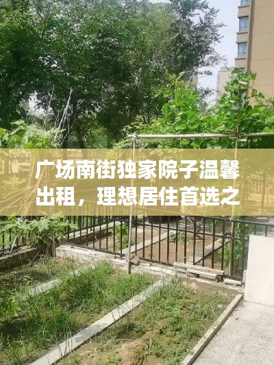 广场南街独家院子温馨出租，理想居住首选之地