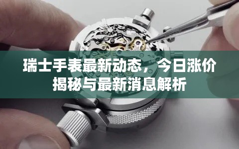 瑞士手表最新动态,今日涨价揭秘与最新消息解析