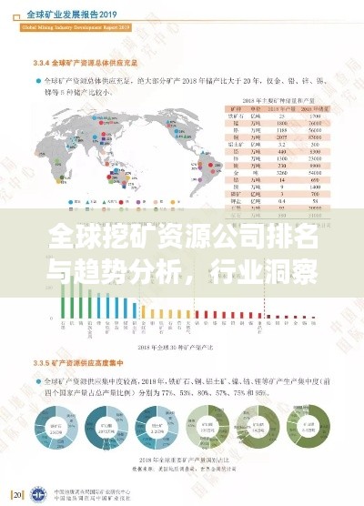 全球挖矿资源公司排名与趋势分析，行业洞察报告