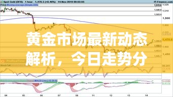 黄金市场最新动态解析,今日走势分析与预测,黄金大涨在即?