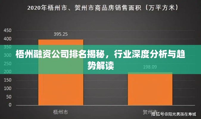梧州融资公司排名揭秘，行业深度分析与趋势解读