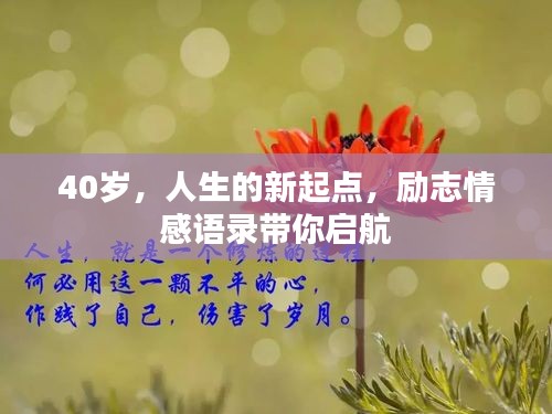 40岁,人生的新起点,励志情感语录带你启航