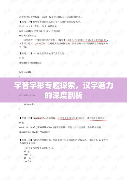 字音字形专题探索，汉字魅力的深度剖析